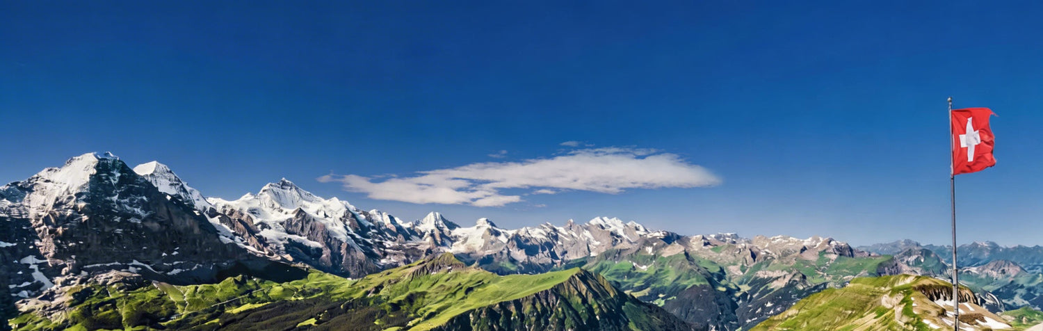 SwitzerlandLandscape_WithFlag